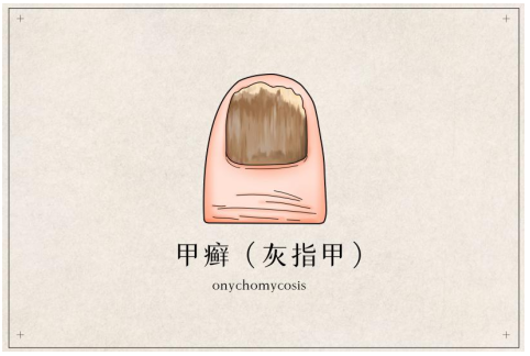 1661517455630501.png 1661517455630501.png