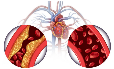 1661518531175999.png 1661518531175999.png